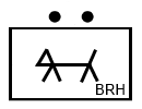 Rettungshundegruppe einer eigenständigen Rettungshundeorganisation